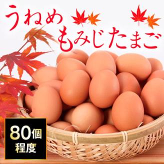 うねめもみじたまご 約80個程度《45日以内に出荷予定(土日祝除く)》---A-12---