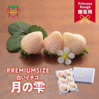 【先行受付】しあわせ届けるいちご農園HappyComeComeの贈答用 白いちご 月のしずく　PREMIUM SIZE《2024年12月中旬-3月下旬頃出荷》---B-92---