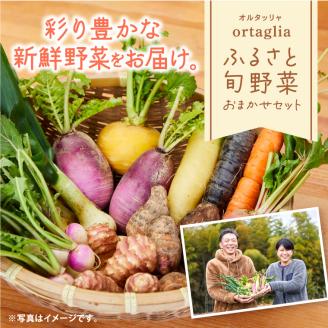 A-229 季節の旬野菜 10品 おまかせセット（農薬・化学肥料不使用）《45日以内に出荷予定(土日祝除く)》---A-229---