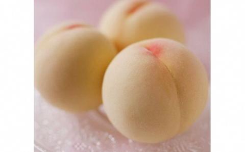 【2026年発送先行予約】岡山県産　清水白桃 ５玉《2026年7月下旬-8月上旬頃出荷》---B-56e---