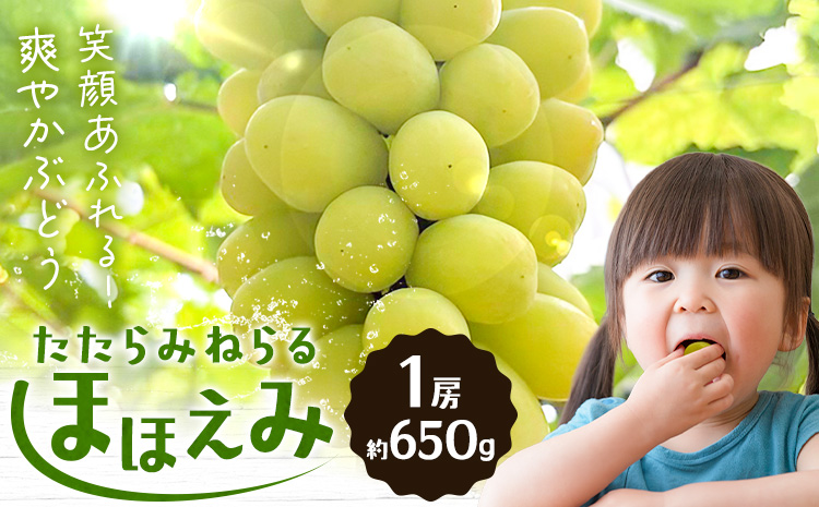 【先行予約】たたらみねらる ほほえみ 1房(約650g) Ｙ＆Ｇ．ディストリビューター株式会社《2026年8月中旬-10月上旬頃出荷》岡山県 笠岡市 果物 フルーツ ブドウ お取り寄せフルーツ シャインマスカット の交配品種---Y-43---