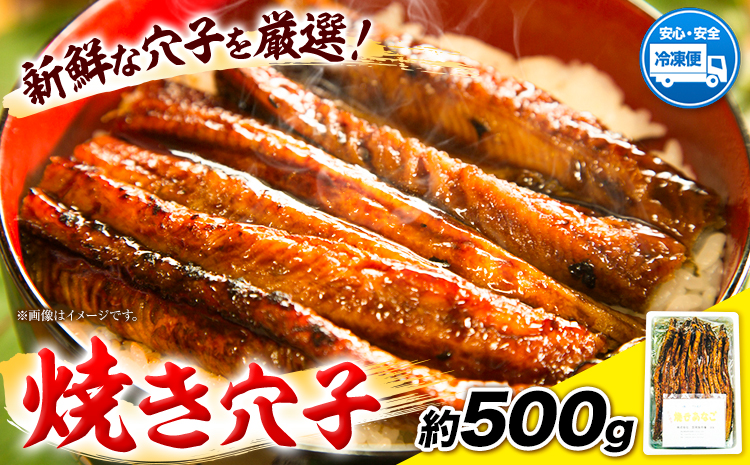 焼き穴子 約500g 笠岡魚市場《45日以内に出荷予定(土日祝除く)》岡山県 笠岡市 穴子 海鮮 魚 お魚---A-06---