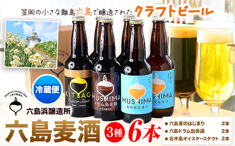 ビール 六島麦酒 3種6本セット 六島麦のはじまり2本 六島ドラム缶会議2本 北木島オイスタースタウト2本 六島浜醸造所《45日以内に出荷予定(土日祝除く)》岡山県 笠岡市 六島 麦酒 お酒 ビール クラフトビール アルコール 贈答 お土産---A-120b---