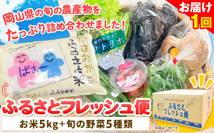 【1回お届け】ふるさとフレッシュ便 米 5kg 野菜 5種 JA晴れの国岡山 笠岡アグリセンター 米5kg 旬の野菜5種類 笠岡ふるさと米 野菜 送料無料 岡山県 笠岡市《お申込月の翌月より発送※12月15日以降のお申込みは2月発送》---A-54-1---