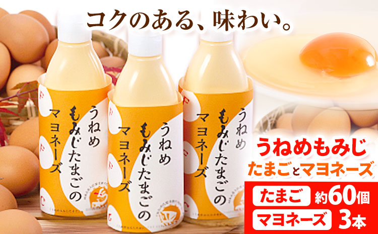 うねめもみじたまごとマヨネーズセット たまご約60個 マヨネーズ3本(250g/本) 采女ファーム 《45日以内に出荷予定(土日祝除く)》岡山県 笠岡市 たまご 卵 鶏卵 マヨネーズ セット TKG 送料無料---B-10---