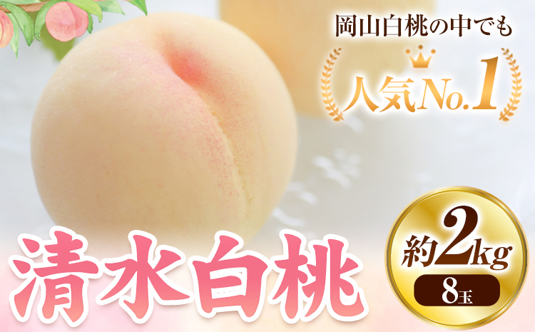 【2026年発送先行予約】清水白桃 8玉 清水白桃 約2kg（８玉） 《2026年7月下旬-8月上旬頃出荷》 桃 清水白桃 白桃 晴れの国おかやま館 フルーツ 果物 果実 岡山県 笠岡市---B-80d---