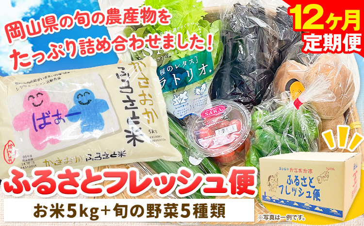 【12ヶ月定期便】ふるさとフレッシュ便 米 5kg 野菜 5種 JA晴れの国岡山 笠岡アグリセンター 米5kg 旬の野菜5種類 笠岡ふるさと米 野菜 送料無料 岡山県 笠岡市《お申込月の翌月より発送※12月15日以降のお申込みは2月初回発送》---E-03---