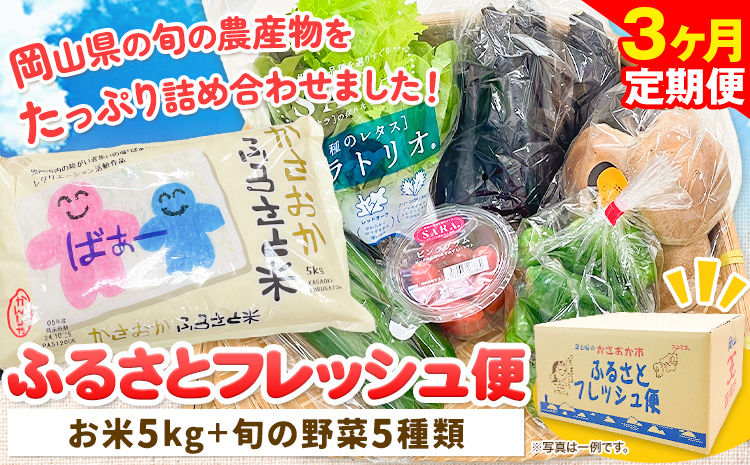 【3ヶ月定期便】ふるさとフレッシュ便 米 5kg 野菜 5種 JA晴れの国岡山 笠岡アグリセンター 米5kg 旬の野菜5種類 笠岡ふるさと米 野菜 送料無料 岡山県 笠岡市《お申込月の翌月より発送※12月15日以降のお申込みは2月初回発送》---E-05---