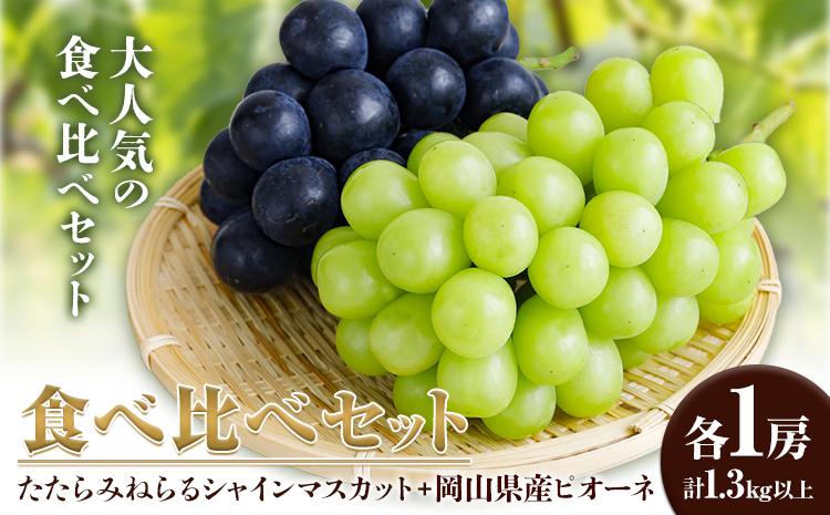 【先行予約】食べ比べセット たたらみねらる シャインマスカット 岡山県産 ピオーネ 各1房 計1.3kg以上 Y＆G.ディストリビューター株式会社《2026年8月下旬-10月下旬頃出荷予定》岡山県 笠岡市 マスカット ぶどう ブドウ 葡萄 フルーツ 果物---Y-01---