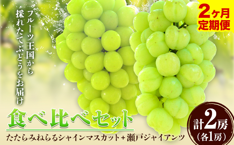 【先行予約】【2回定期便】食べ比べセット たたらみねらるシャインマスカット+瀬戸ジャイアンツ 各1房 1.3kg以上《2026年9月上旬-10月下旬頃出荷予定》岡山県 笠岡市 マスカット ぶどう ブドウ 葡萄 フルーツ 果物 たたらみねらる 食べ比べ セット 定期便---Y-06---
