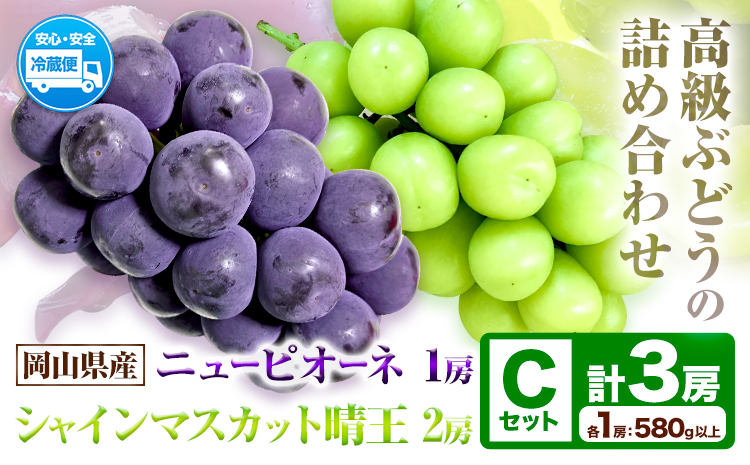 岡山県産ニューピオーネ＆シャインマスカット「晴王」 Cセット （1房580g以上） 先行受付《9月上旬-10月下旬頃》【配送不可地域あり】---H-87---