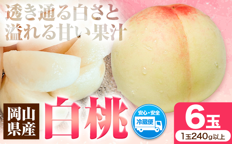 先行受付 岡山県産 白桃 1玉 240g以上 6玉入り ロイヤル 《7月中旬-8月下旬頃出荷》 【配送不可地域あり】---H-65---
