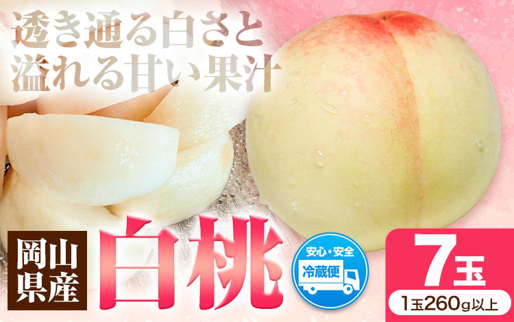 先行受付 岡山県産 白桃 1玉 260g以上 7玉入り ロイヤル 《7月中旬-8月下旬頃出荷》 【配送不可地域あり】---H-64---