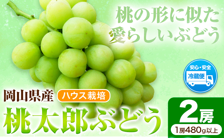 岡山県産桃太郎ぶどう 2房（480g以上）ハウス栽培 先行受付 《7月中旬-8月下旬頃出荷》【配送不可地域あり】---H-67---
