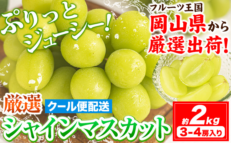 【2026年発送先行予約】シャインマスカット 約2kg (3-4房入) 《2026年9月上旬-11月中旬頃出荷》ぶどう ブドウ 葡萄 マスカット 果物 フルーツ ギフト 岡山県 笠岡市 フルーツ マスカット---kasaoka_zsy_222_20---