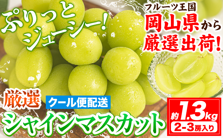 【2026年発送先行予約】 シャインマスカット 岡山 約1.3kg 2-3房 厳選 旬 ぶどう ブドウ 葡萄 マスカット 果物 フルーツ ギフト 岡山県 笠岡市 訳あり クール便 爽やか 贅沢《2026年9月上旬‐11月中旬頃出荷》---kasaoka_zsy_221_13---