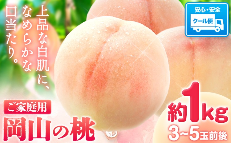 【先行予約】岡山の桃 約1kg(3~5玉前後)《2026年6月下旬-9月上旬頃出荷》 ご家庭用 訳あり 白桃 岡山 はくとう スイーツ フルーツ 果物 デザート 旬 モモ もも 先行予約 送料無料 果物 岡山県 笠岡市 清水白桃 白鳳 白麗 クール便---kasaoka_zsy_149_1---