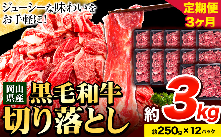 牛肉 肉 黒毛和牛 切り落とし 訳あり 大容量 小分け【定期便】 3kg 1パック 250g 3回 《お申込月の翌月より発送》岡山県産 岡山県 笠岡市 お肉 にく カレー 牛丼 切り落し 切落し 黒毛和牛 牛肉 黒毛和牛 牛肉 黒毛和牛 牛肉 黒毛和牛 牛肉 黒毛和牛 牛肉 黒毛和牛 牛肉 黒毛和牛 ---kasaoka_zsytei_127_3kg---