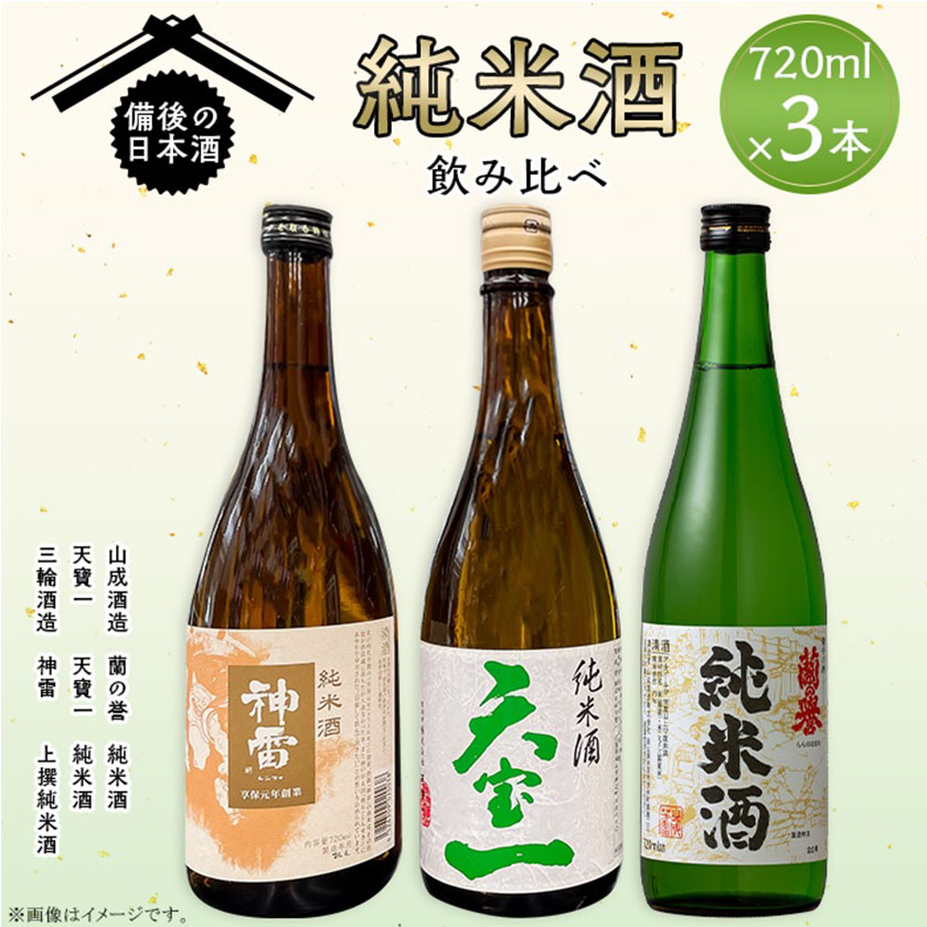【びんご圏域連携】備後の日本酒 純米酒 飲み比べセット 株式会社齋藤商店《30日以内に出荷予定(土日祝除く)》酒 日本酒 さけ お酒---S-19a---