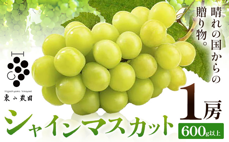 ぶどう シャインマスカット【2026年発送先行予約】 晴れの国からの贈り物 シャインマスカット 600g 以上 1房 《2026年9月上旬-10月中旬頃出荷》 東山農園 ブドウ 葡萄 マスカット 果物 フルーツ ギフト 岡山県 笠岡市 ---H-47---