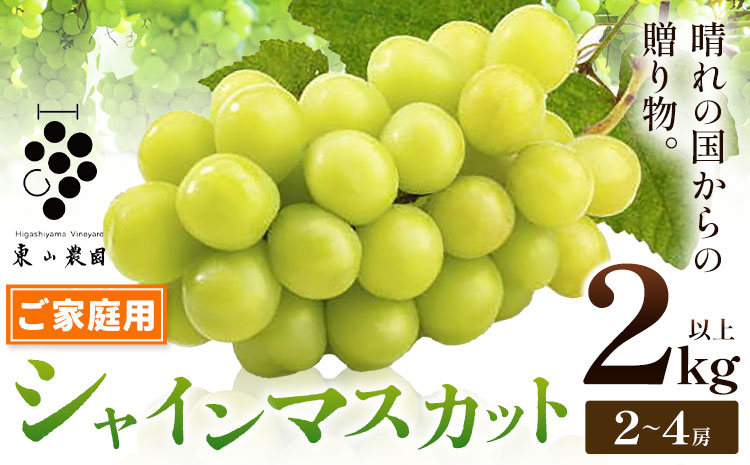ぶどう シャインマスカット 【2026年発送先行予約】ご家庭用 晴れの国からの贈り物 シャインマスカット 2kg 以上 2房 ～ 4房《2026年9月上旬-10月中旬頃出荷》 東山農園 ブドウ 葡萄 マスカット 果物 フルーツ ギフト 岡山県 笠岡市 ---H-48---