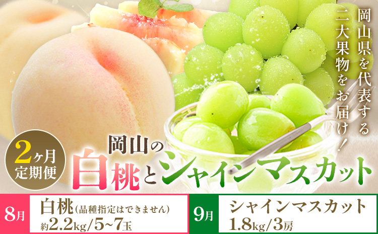 【2026年発送先行予約】ぶどう 白桃 2ヶ月 定期便 岡山 の 白桃 と シャインマスカット 計4kg 晴れの国おかやま館(漂流岡山)《2026年8月下旬-9月下旬頃出荷》岡山県 笠岡市 桃 もも マスカット シャインマスカット 果物【配送不可地域あり】（離島）---H-52---