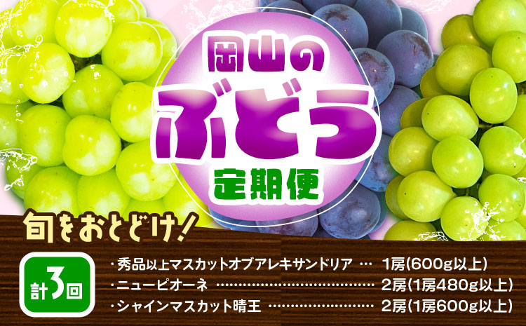 【3回定期便】ぶどう 定期便 計3回コース 岡山県産 シャインマスカット 晴王 ニューピオーネ マスカットオブアレキサンドリア 化粧箱入り 株式会社山博《2026年7月上旬-9月末頃出荷》岡山県 笠岡市 フルーツ 果物 定期 ぶどう マスカット【配送不可地域あり】---Y-40a---