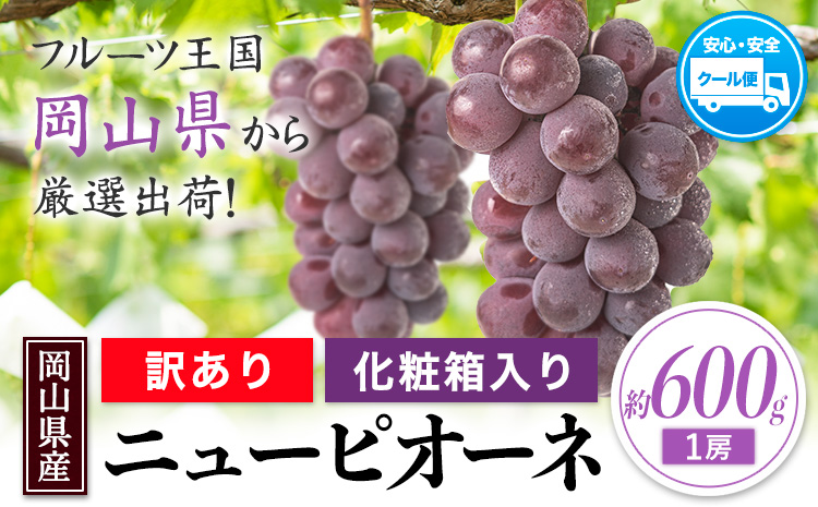 岡山県産 ニューピオーネ 約600g(1房) 《8月下旬-10月下旬頃出荷(土日祝除く)》岡山県 笠岡市 葡萄 果物 訳あり 優品 ---kasaoka_zsy_250_06---