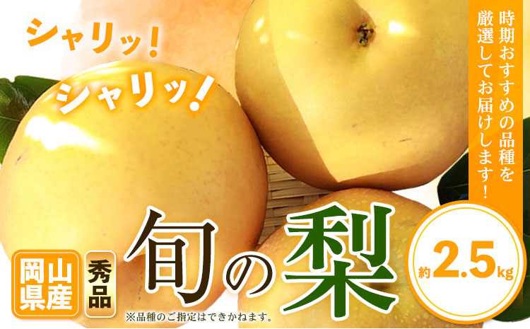 【先行予約】秀品 岡山県産 旬の 梨 約2.5kg 2~6玉前後 梨 秀品 新高 愛宕 スイーツ フルーツ デザート 旬 岡山県 笠岡市《9月上旬-1月末頃に出荷予定》---kasaoka_zsy_47_25---