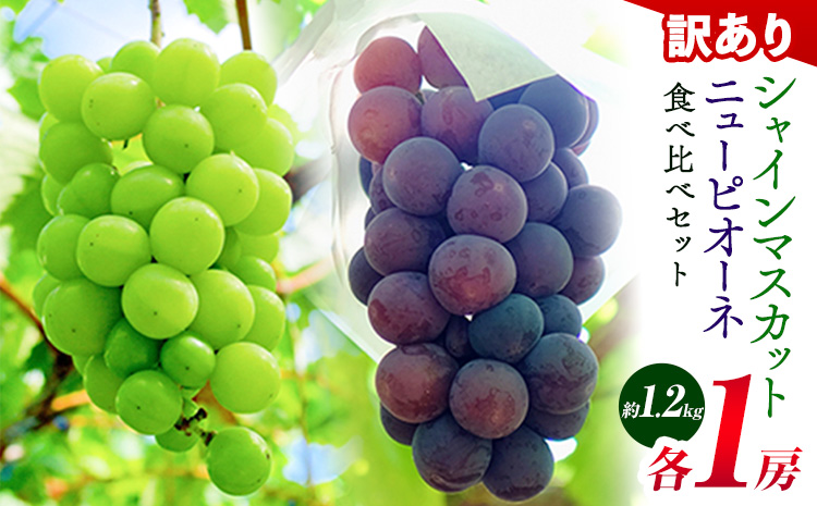 岡山県産 訳あり ニューピオーネ シャインマスカット 詰め合わせ 約1.2kg 2房 葡萄 果物 訳あり 優品 岡山県 笠岡市《9月上旬～10月下旬頃に出荷予定(土日祝除く)》---kasaoka_zsy_252_12s---