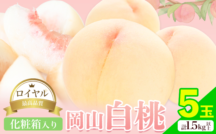 岡山白桃 5玉 (1.5kg以上) 等級ロイヤル 化粧箱入り 株式会社山博 (中本青果)《2026年7月上旬‐8月中旬頃出荷》岡山県 笠岡市 桃 もも フルーツ 旬 果物 国産 岡山県産 送料無料 冷蔵 化粧箱【配送不可地域あり】---Y-24a---