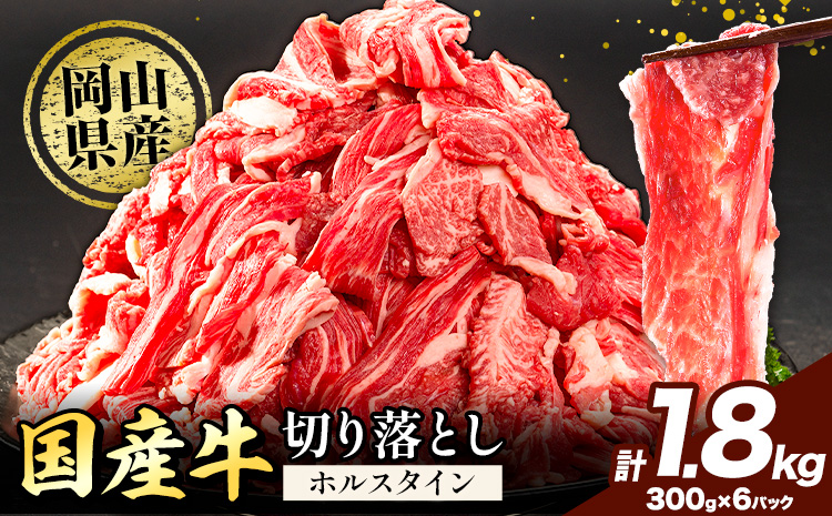 牛肉 肉 国産牛 切り落とし ホルスタイン 大容量 小分け 1.8kg 《30日以内に出荷予定(土日祝除く)》岡山県産 岡山県 笠岡市 お肉 にく カレー 牛丼 牛肉 切り落し 小分け 切落し 牛肉 小分け 牛肉---kasaoka_zsy_131_1800g---