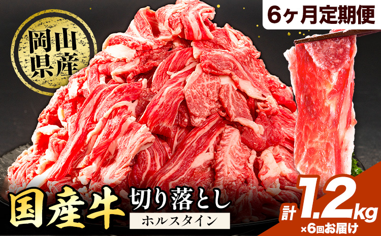 牛肉 肉 国産牛 切り落とし ホルスタイン 大容量 小分け 1.2kg × 6ヶ月定期便 《お申込み月の翌月から出荷開始》岡山県産 岡山県 笠岡市 お肉 にく カレー 牛丼 牛肉 切り落し 小分け 切落し 牛肉 小分け 牛肉---kasaoka_zsytei_135_1200g---