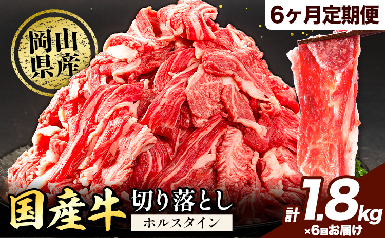 牛肉 肉 国産牛 切り落とし ホルスタイン 大容量 小分け 1.8kg × 6ヶ月定期便 《お申込み月の翌月から出荷開始》岡山県産 岡山県 笠岡市 お肉 にく カレー 牛丼 牛肉 切り落し 小分け 切落し 牛肉 小分け 牛肉---kasaoka_zsytei_137_1800g---