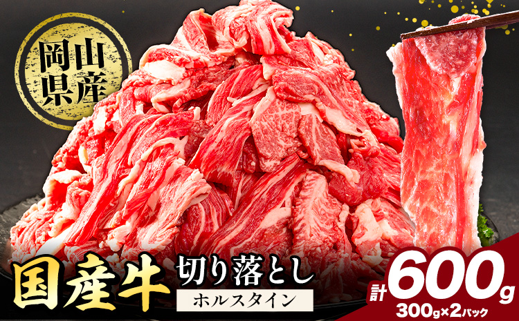 牛肉 肉 国産牛 切り落とし ホルスタイン 大容量 小分け 600g 《30日以内に出荷予定(土日祝除く)》岡山県産 岡山県 笠岡市 お肉 にく カレー 牛丼 牛肉 切り落し 小分け 切落し 牛肉 小分け 牛肉---kasaoka_zsy_129_600g---