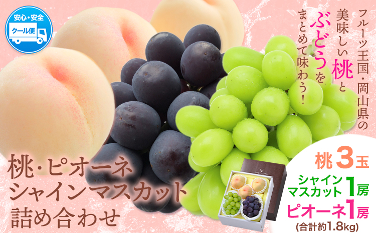 【2026年先行予約】桃 シャインマスカット ピオーネ 詰め合わせ 約1.8kg クール便 冷蔵便 桃 もも 葡萄 ブドウ ぶどう マスカット フルーツ セット 先行予約 晴れの国おかやま館 《2025年8月下旬‐9月中旬頃出荷》 フルーツ 果物 果実 岡山県 笠岡市---H-24a---