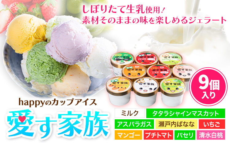 愛す家族 カップアイス 9個入り 笠岡ジェラート 工房ハッピーのカップアイス ハッピー＆甲和株式会社 ジェラート アイス ミルク たたらシャインマスカット 清水白桃 いちご アスパラガス プチトマト 瀬戸内バナナ マンゴー パセリ 岡山県 笠岡市---A-35---