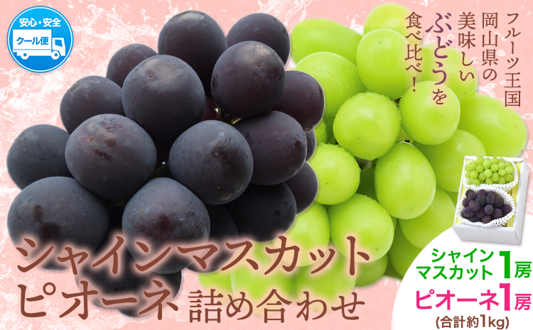 【2026年先行予約】シャインマスカット・ピオーネ詰め合わせ 約1.0kg マスカット 葡萄 ブドウ ぶどう ピオーネ フルーツ セット 晴れの国おかやま館 《2026年8月下旬-10月下旬頃出荷》 フルーツ 果物 果実 岡山県 笠岡市---H-21a---