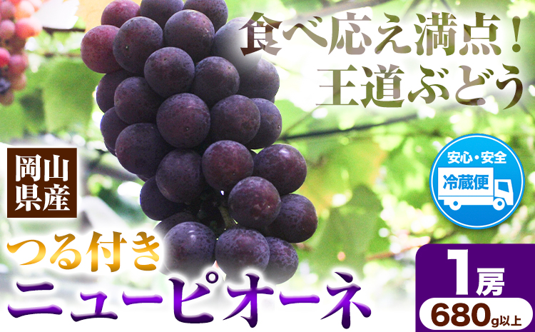岡山県産ニューピオーネ（1房680g以上）1房入り 令和8年産先行受付《9月中旬-10月下旬頃出荷》【配送不可地域あり】---H-33b---