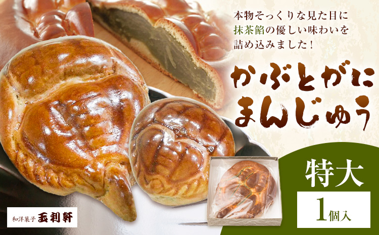 かぶとがにまんじゅう 特大 1個 株式会社玉利軒[30日以内に出荷予定(土日祝除く)]岡山県 笠岡市 まんじゅう 饅頭 お土産 和菓子 手土産 送料無料---T-38---