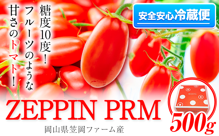 高糖度トマト ZEPPIN PRM(プレミアム) 500g 株式会社ジェイ・イー・ティ・アグリ 甘い トマト フルーツトマト ミニトマト 糖度10以上 野菜 新鮮 完熟 産地直送 甘味 うまみ 食感---A-187a---