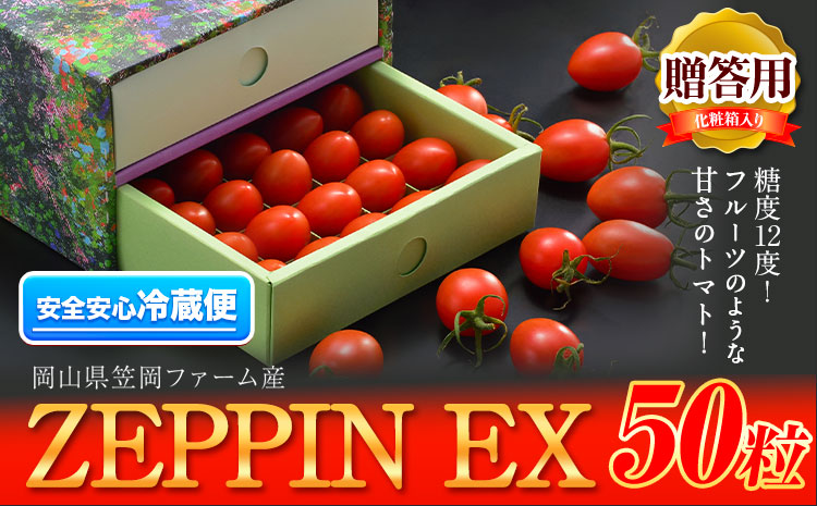 ZEPPIN EX(エクセレント) 50粒 化粧箱入り (贈答用) 500g 平均糖度12度 甘い フルーツトマト 贈答 ---C-36a---