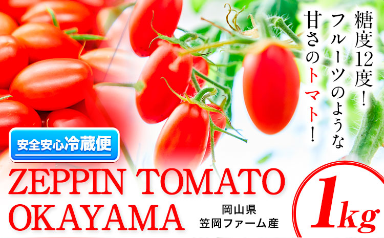 ZEPPIN TOMATO Okayama 1kg箱 (ZEPPIN EX) 平均糖度12度 甘い フルーツトマト トマト ミニトマト フルーツトマト トマト ミニトマト とまと 野菜 トマト ---C-39a---