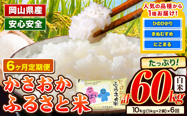 [令和8年1月〜令和8年6月発送]米 お米 令和7年産 備中笠岡ふるさと米[6ヶ月定期便]10kg × 6ヶ月 [先行受付] 国産 ヒノヒカリ にこまる きぬむすめ 単一原料米 検査済み 国産 ブランド米 お取り寄せ 送料無料 岡山県産---R7-10k-6M-R0801---