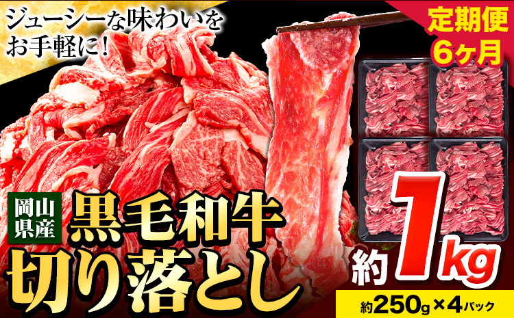 牛肉 肉 黒毛和牛 切り落とし 訳あり 大容量 小分け[定期便] 1kg 1パック 250g 6回 [お申込月の翌月より発送]岡山県産 岡山県 笠岡市 お肉 にく カレー 牛丼 切り落し 切落し 黒毛和牛 牛肉 黒毛和牛 牛肉 黒毛和牛 牛肉 黒毛和牛 牛肉 黒毛和牛 牛肉 黒毛和牛 牛肉 黒毛和牛 ---223_f740tei_23_60000_6kg---