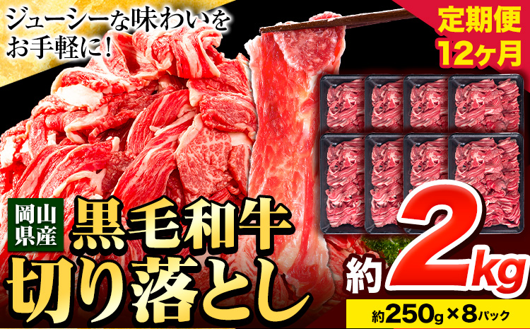 牛肉 肉 黒毛和牛 切り落とし 訳あり 大容量 小分け[定期便] 2kg 1パック 250g 12回 [お申込月の翌月より発送]岡山県産 岡山県 笠岡市 お肉 にく カレー 牛丼 切り落し 切落し 黒毛和牛 牛肉 黒毛和牛 牛肉 黒毛和牛 牛肉 黒毛和牛 牛肉 黒毛和牛 牛肉 黒毛和牛 牛肉 黒毛和牛 ---223_f744tei_23_240000_24kg---