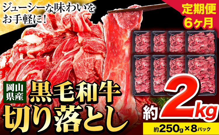 牛肉 肉 黒毛和牛 切り落とし 訳あり 大容量 小分け[定期便] 2kg 1パック 250g 6回 [お申込月の翌月より発送]岡山県産 岡山県 笠岡市 お肉 にく カレー 牛丼 切り落し 切落し 黒毛和牛 牛肉 黒毛和牛 牛肉 黒毛和牛 牛肉 黒毛和牛 牛肉 黒毛和牛 牛肉 黒毛和牛 牛肉 黒毛和牛 ---223_f743tei_23_120000_12kg---