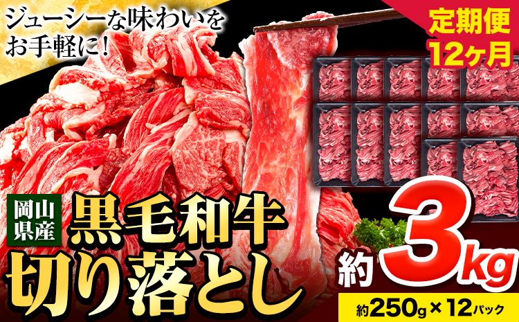 牛肉 肉 黒毛和牛 切り落とし 訳あり 大容量 小分け[定期便] 3kg 1パック 250g 12回 [お申込月の翌月より発送]岡山県産 岡山県 笠岡市 お肉 にく カレー 牛丼 切り落し 切落し 黒毛和牛 牛肉 黒毛和牛 牛肉 黒毛和牛 牛肉 黒毛和牛 牛肉 黒毛和牛 牛肉 黒毛和牛 牛肉 黒毛和牛 ---223_f747tei_23_360000_36kg---