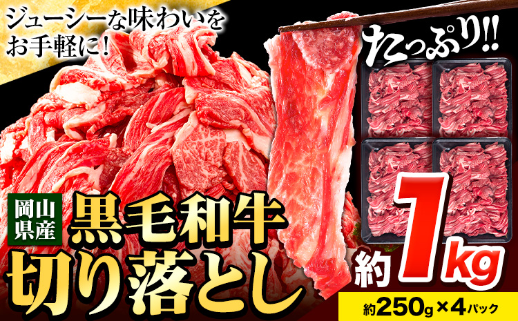 牛肉 肉 黒毛和牛 切り落とし 訳あり 大容量 小分け 1kg 1パック 250g [60日以内に出荷予定(土日祝除く)]岡山県産 岡山県 笠岡市 お肉 にく カレー 牛丼 切り落し 切落し 黒毛和牛 牛肉 黒毛和牛 牛肉 黒毛和牛 牛肉 黒毛和牛 牛肉 黒毛和牛 牛肉 黒毛和牛 牛肉 黒毛和牛---223_f651_60d_23_10000_1kg---