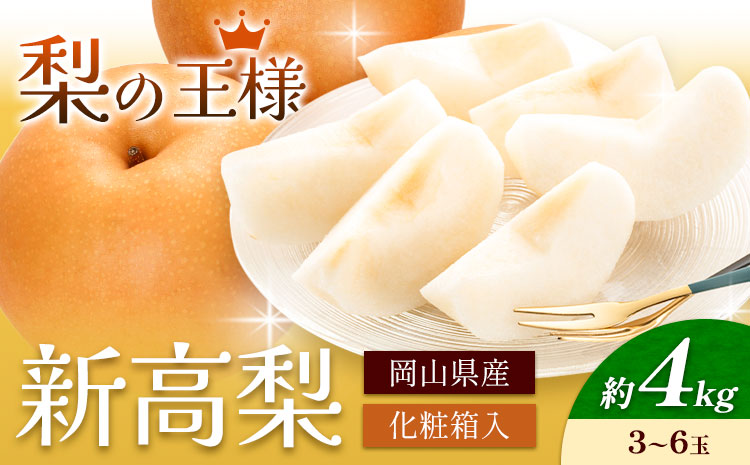 梨 岡山県産 新高梨 約4kg 3~6玉 株式会社山博[2026年9月下旬-11月上旬頃出荷]新高 フルーツ 化粧箱入り 岡山県 笠岡市 送料無料---Y-36a---